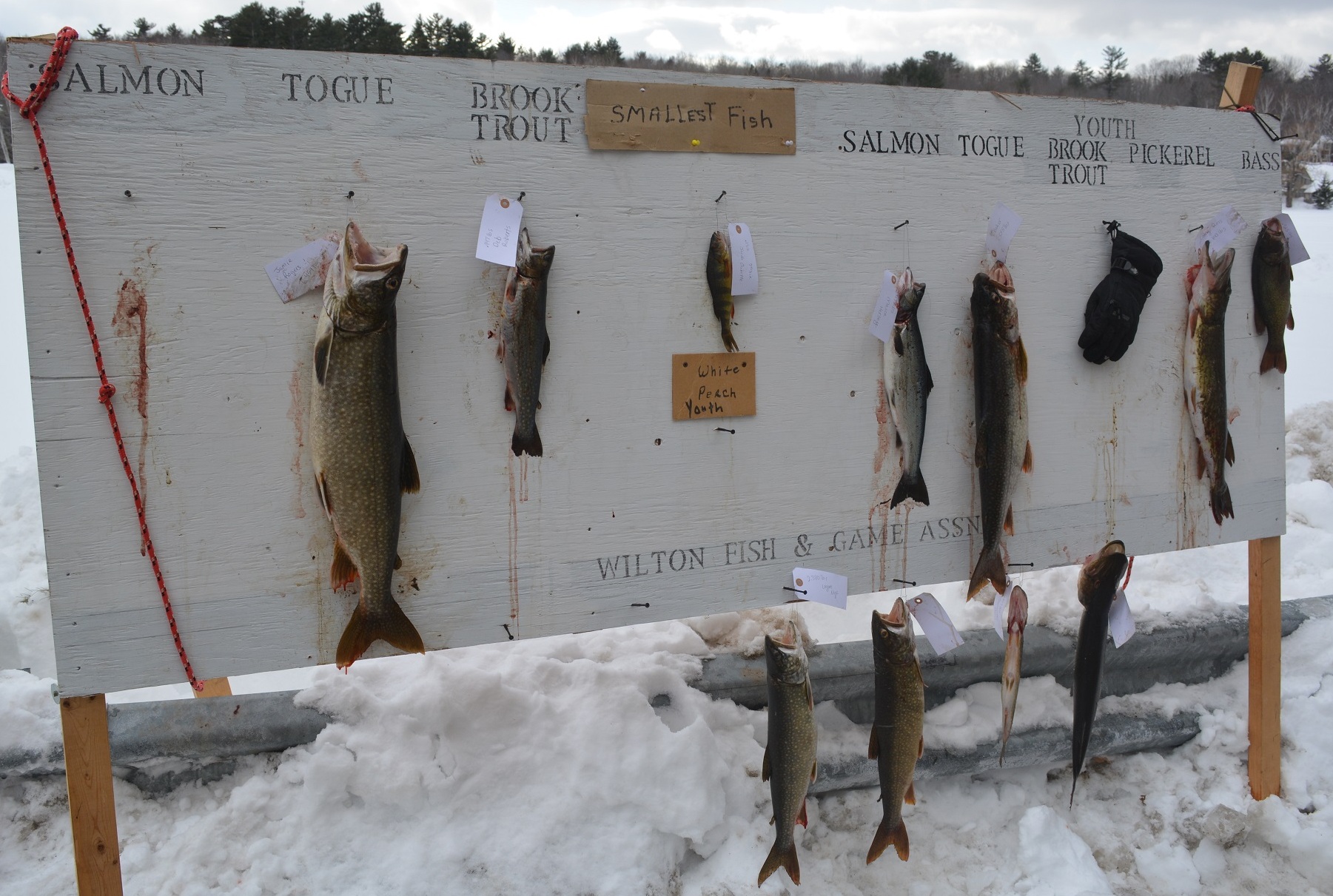 Moosehead Lake Maine Ice fishing 