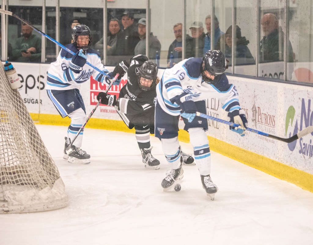 Black Bears victorious against Titans - The Rink Live