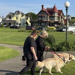 Martha's Vineyard Housing Crisis