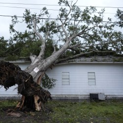 Pictures of the Week Global Photo Gallery